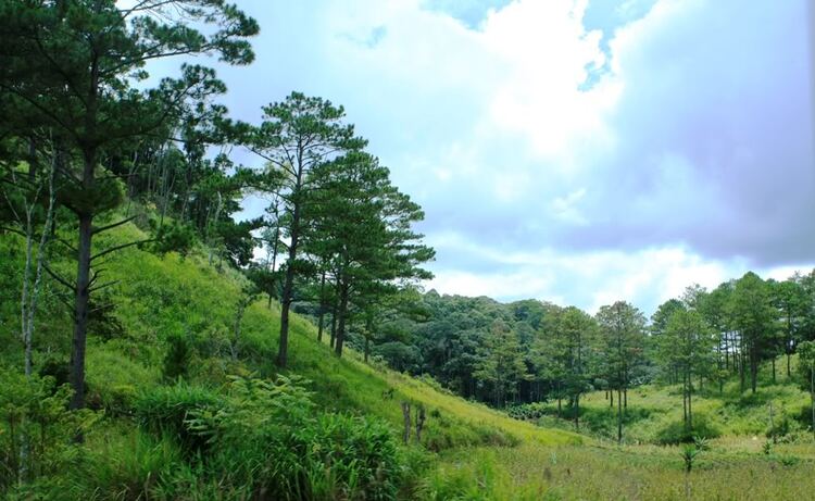 Góc nhìn OS miền Trung - OSMT's View