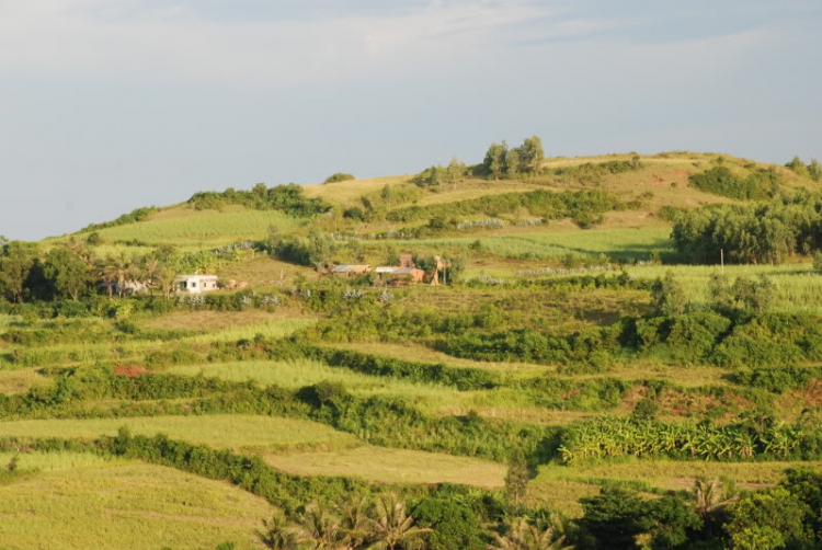 Em lại lang thang