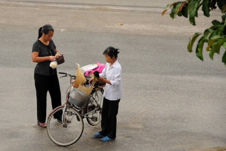 Em lại lang thang