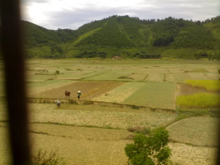OS Nghệ An OS Nghệ An