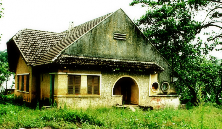 Cuối tuần chụp linh tinh. Cuối tuần chụp linh tinh.