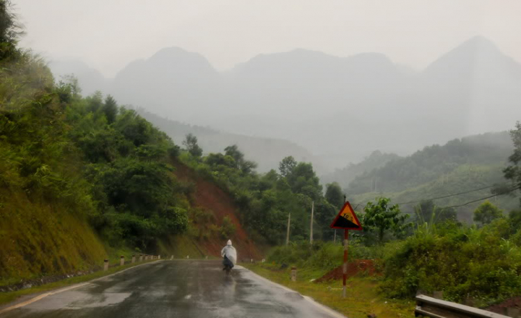 Em lại lang thang