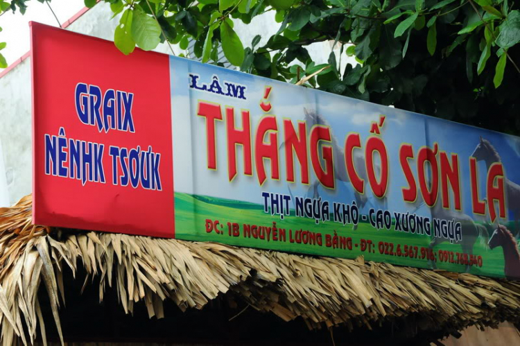 Em lại lang thang