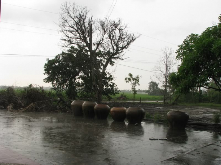 Góc nhìn OS miền Trung - OSMT's View