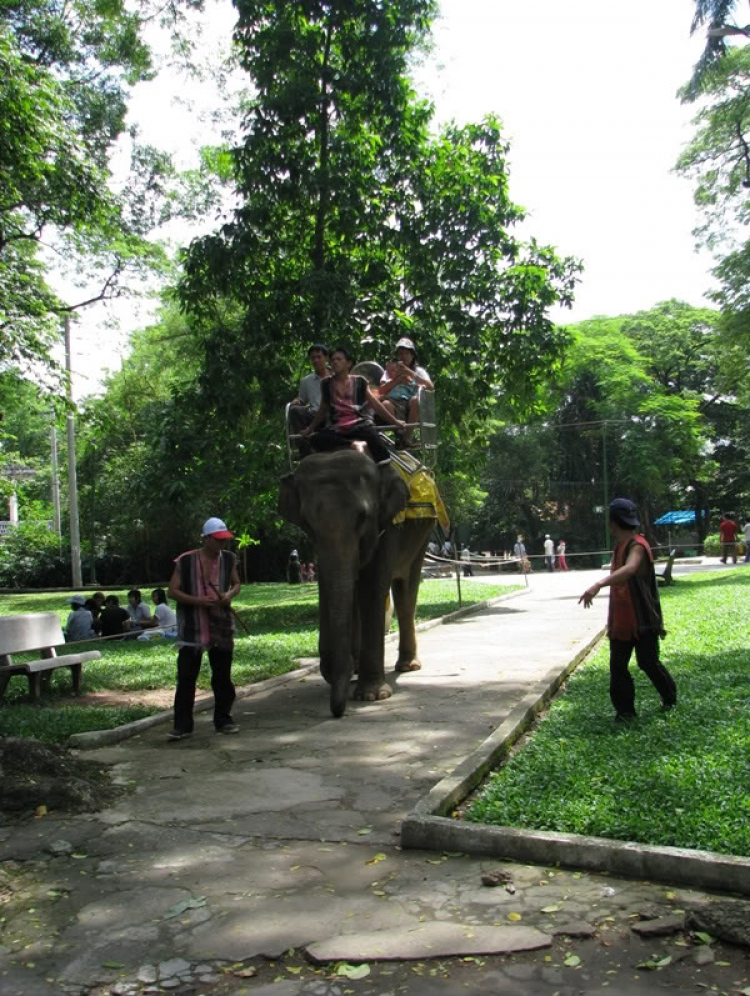 Góc nhìn OS miền Trung - OSMT's View