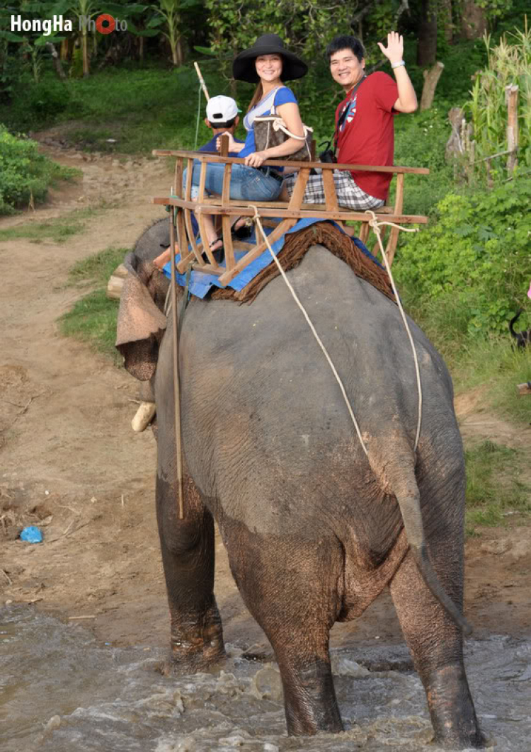 Chân dung ảnh SFC