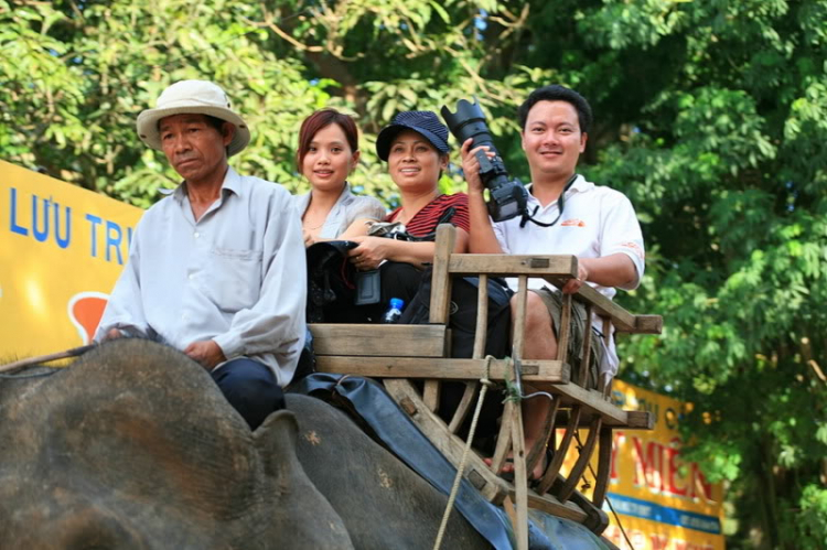 Chân dung ảnh SFC