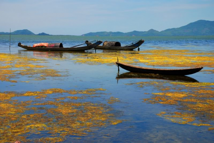 Lang thang ở Huế những ngày mưa