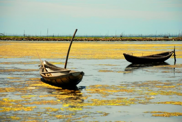 Lang thang ở Huế những ngày mưa