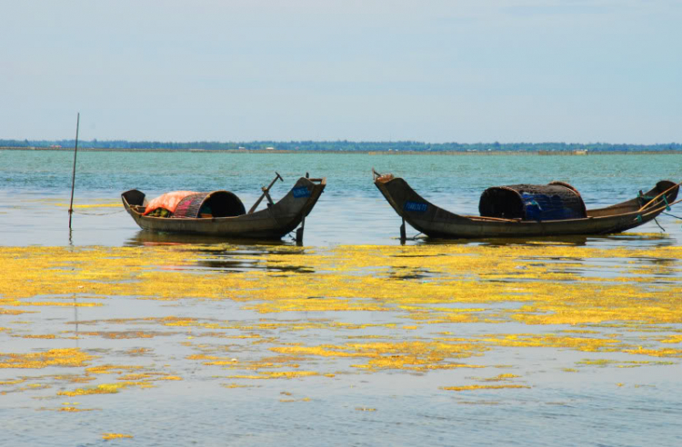 Lang thang ở Huế những ngày mưa