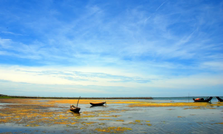 Lang thang ở Huế những ngày mưa