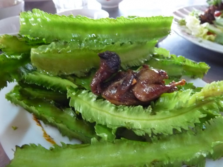 Những hình ảnh trong buổi Off đầu tiên của Hội MIT Những hình ảnh trong buổi Off đầu tiên của Hội MIT