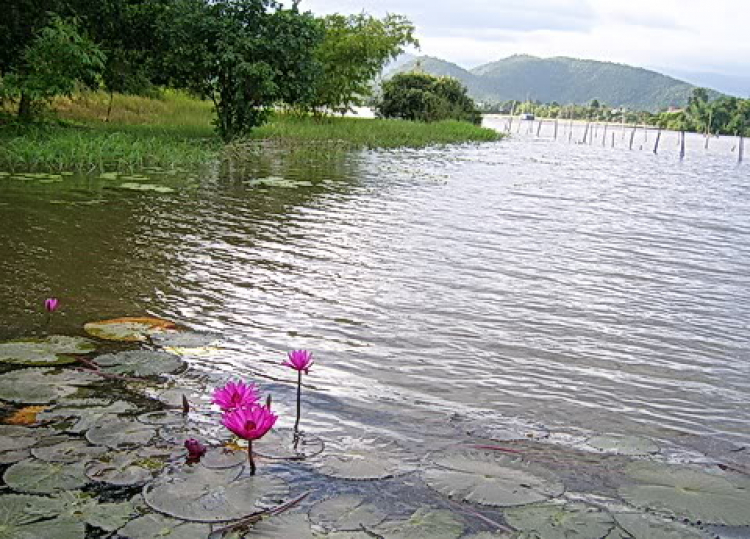 Asia kể chuyện...