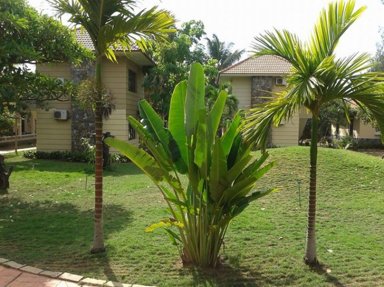 xin các bác giúp em resosrt mủi né xin các bác giúp em resosrt mủi né