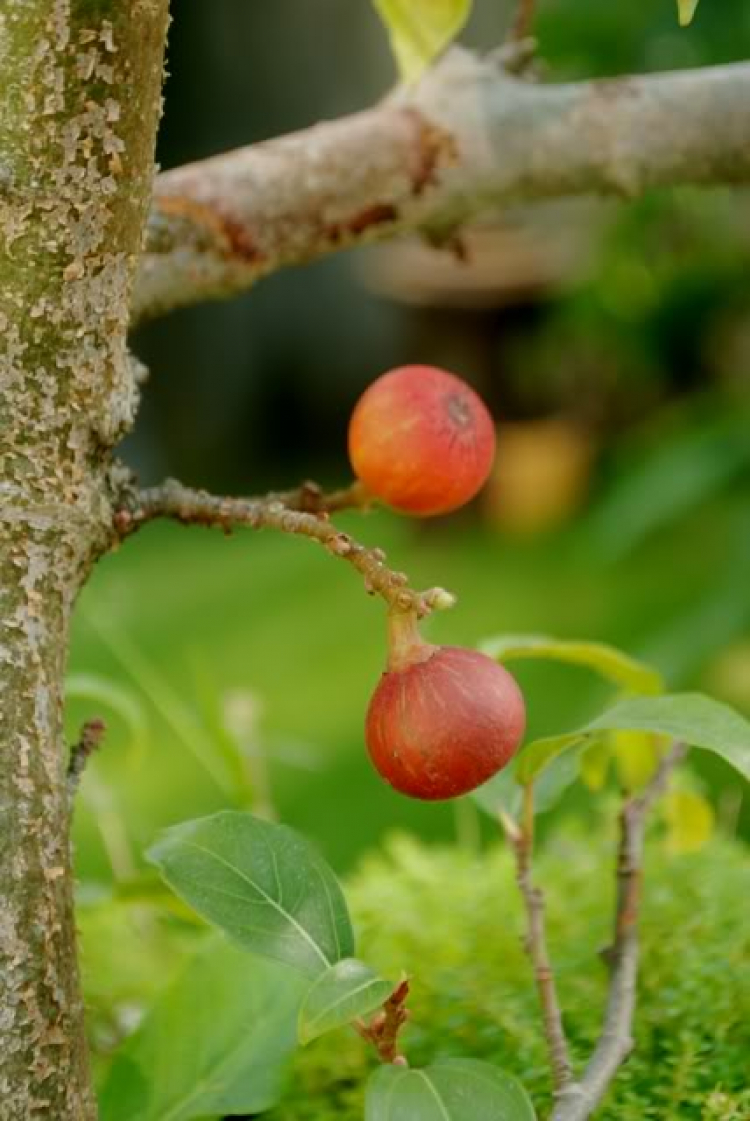 Cuối tuần chụp linh tinh.