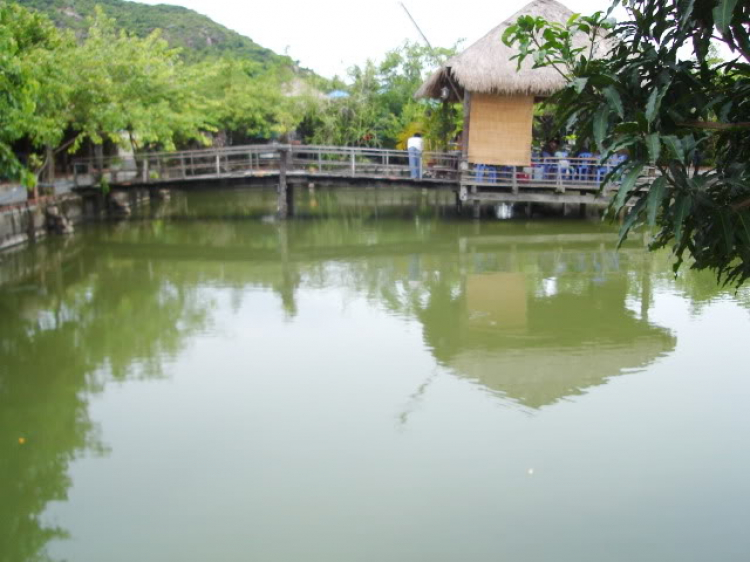 “Cánh đồng gió” - Những hình ảnh vượt thời gian “Cánh đồng gió” - Những hình ảnh vượt thời gian