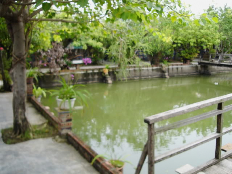 “Cánh đồng gió” - Những hình ảnh vượt thời gian “Cánh đồng gió” - Những hình ảnh vượt thời gian