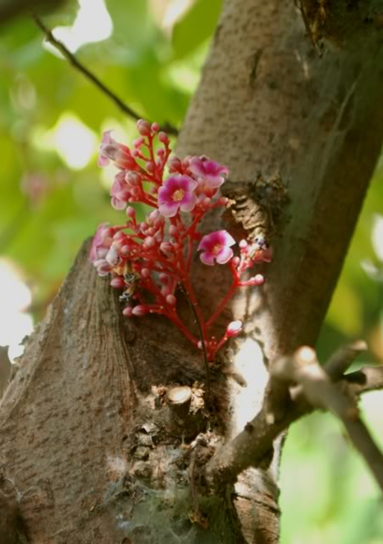 Cuối tuần chụp linh tinh. Cuối tuần chụp linh tinh.