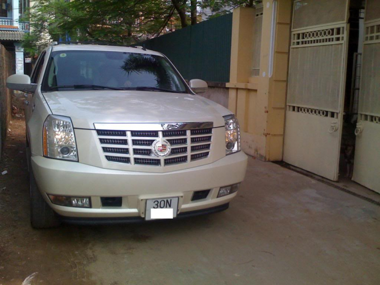 Escalade màu trắng ở HN