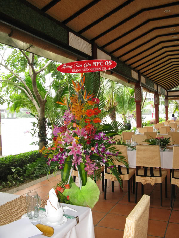 Chùm ảnh mừng Tân Gia MFC Chùm ảnh mừng Tân Gia MFC