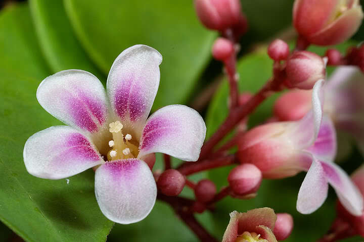 Cuối tuần chụp linh tinh.