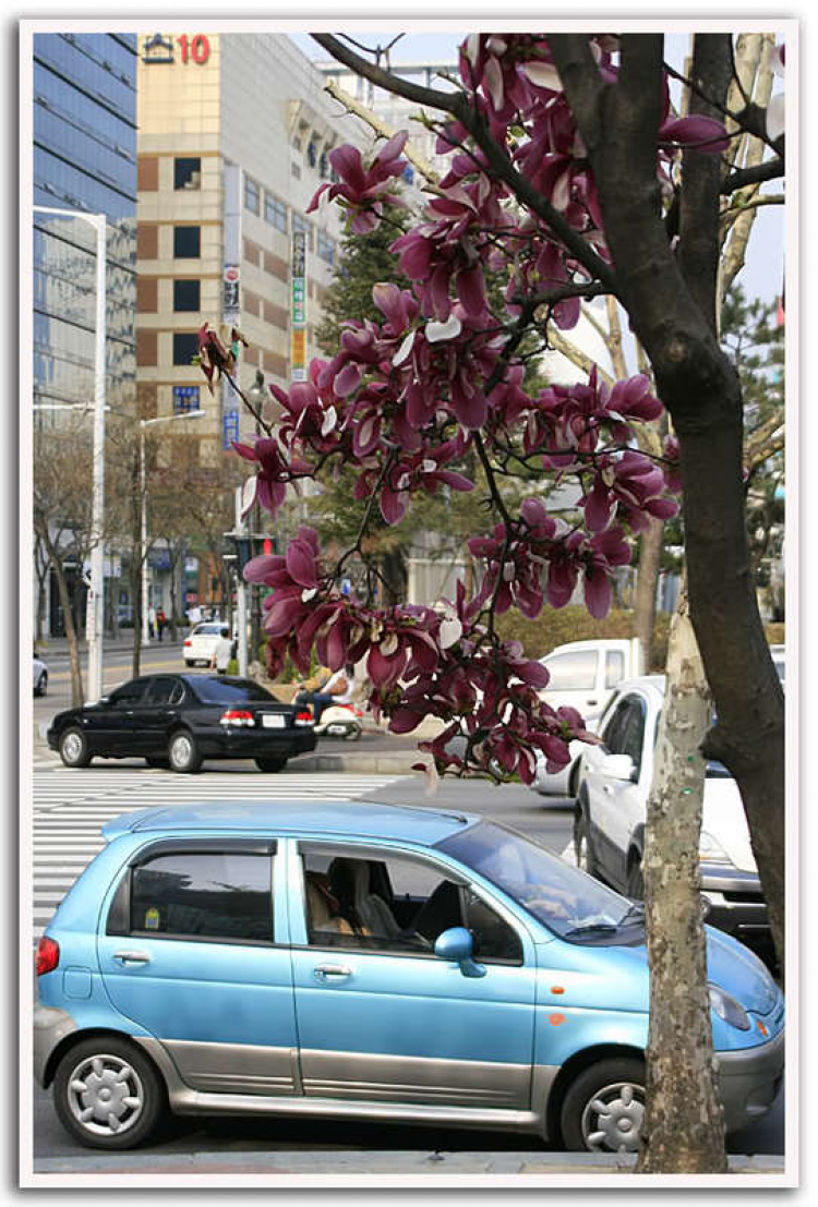 GM Deawoo trình làng Matiz Creative mới GM Deawoo trình làng Matiz Creative mới