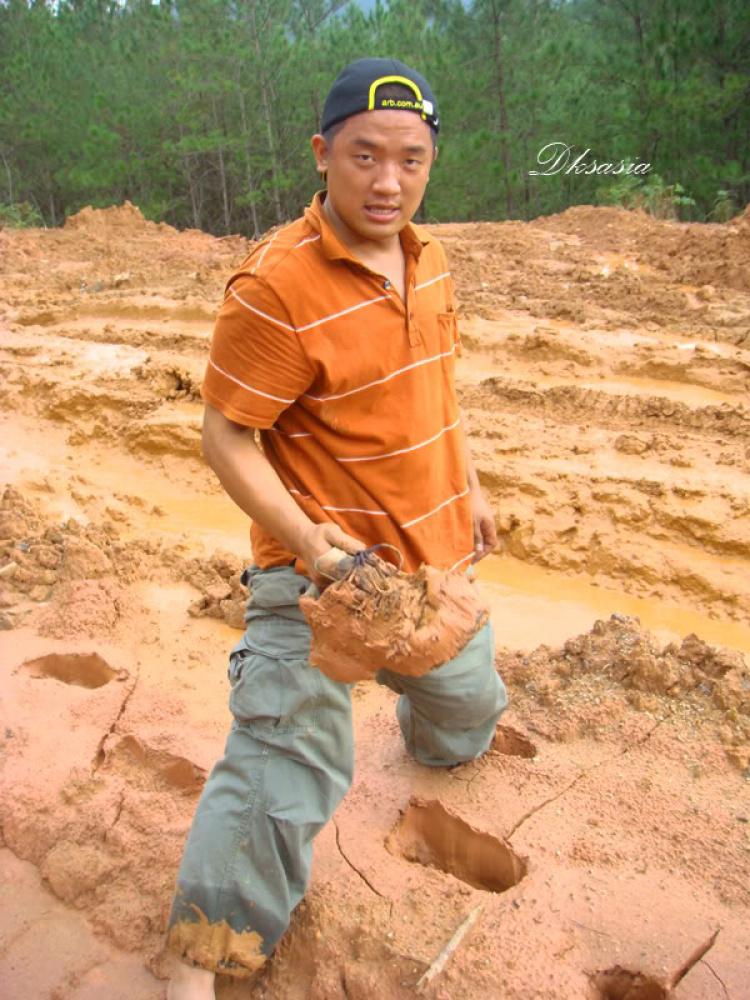 Đà Lạt cuối tuần. Đà Lạt cuối tuần.