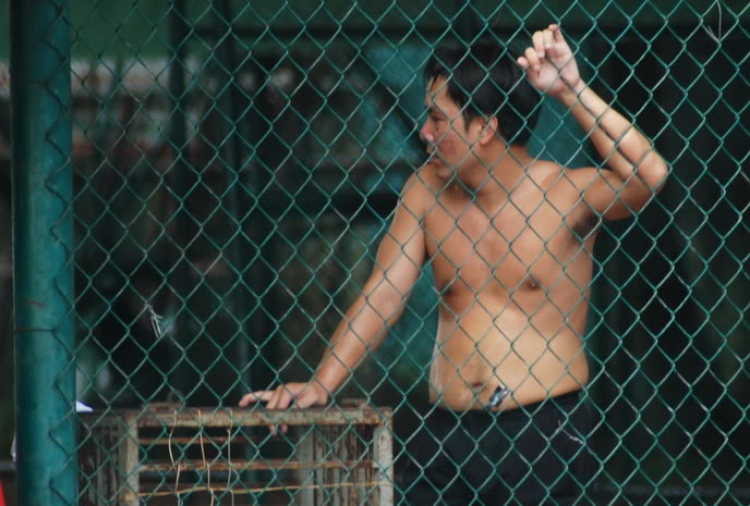 Hình Ảnh và tường thuật giải Tenis mừng lễ 2-9 Hình Ảnh và tường thuật giải Tenis mừng lễ 2-9
