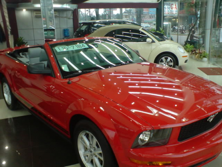 Chủ đề : Ford Mustang ạ!