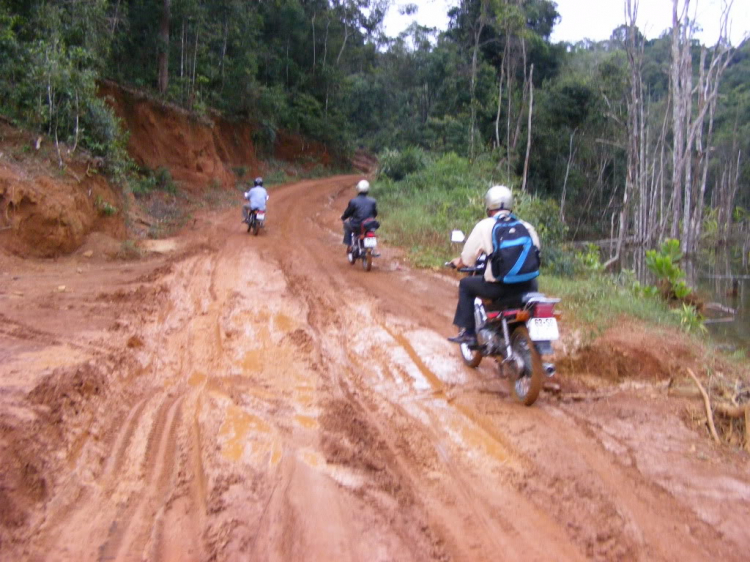 Cào cào và 2B offroad