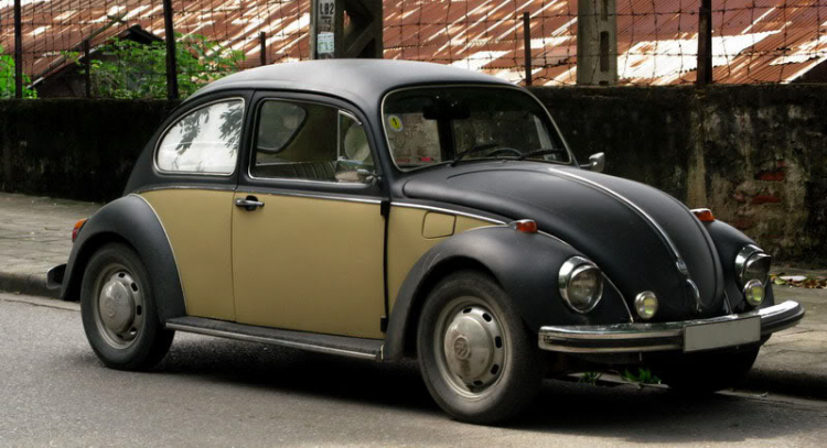 can mua vw chua don hoac da don can mua vw chua don hoac da don