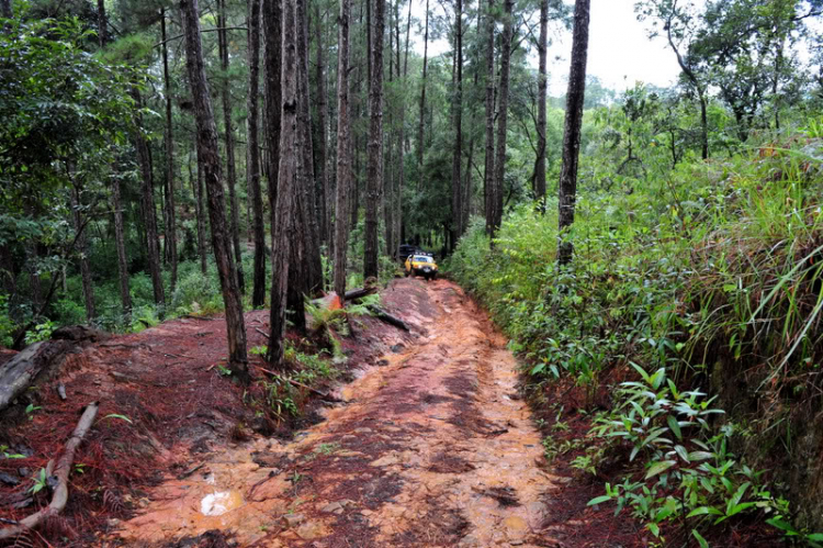 Off road kết hợp cứu trợ Đưng K'Nớ Off road kết hợp cứu trợ Đưng K'Nớ