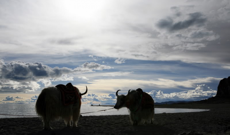 hình ảnh hành trình Tibet - Nepal