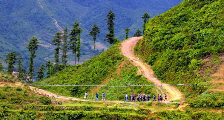 Em lại lang thang