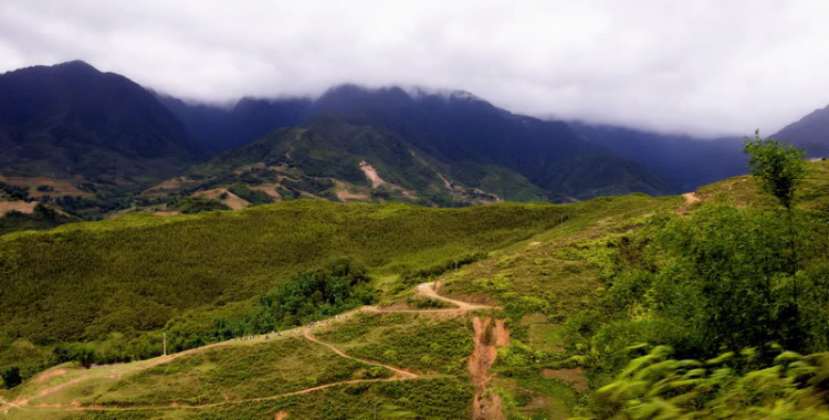 Em lại lang thang