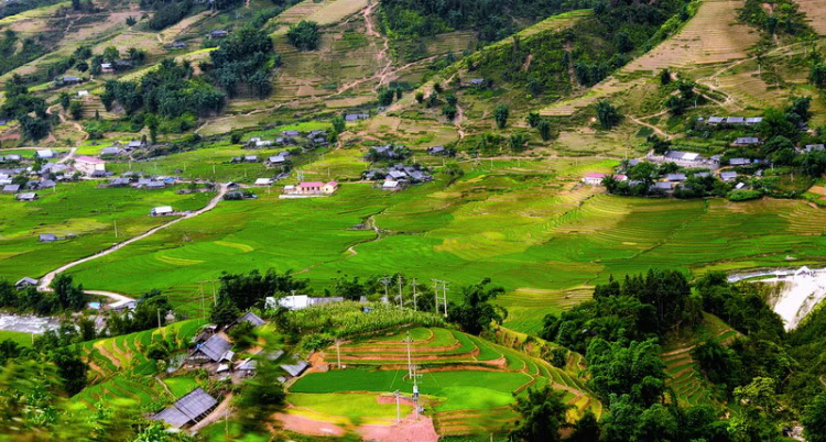 Em lại lang thang