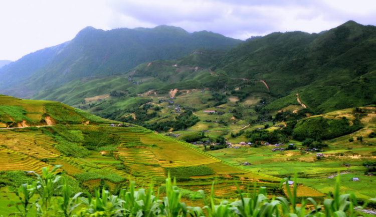 Em lại lang thang