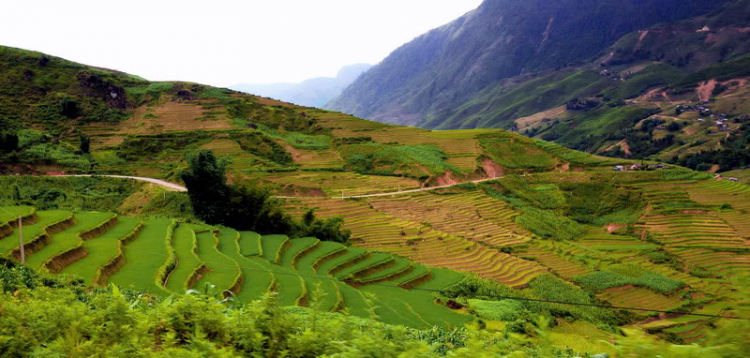 Em lại lang thang Em lại lang thang