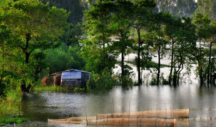 Lang Thang Với Jeep