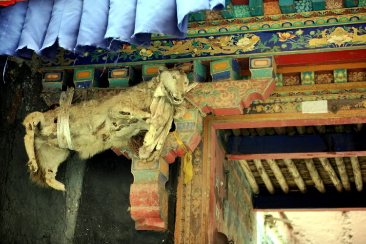 Tây Tạng - Bồng bềnh cùng mây trắng. Tây Tạng - Bồng bềnh cùng mây trắng.