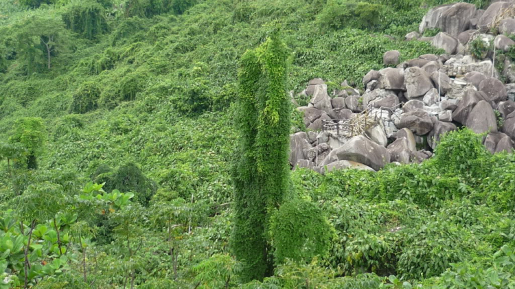 Núi Bà Đen, Tòa Thánh TN và Chùa Hoằng Pháp.