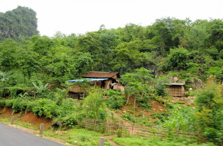 Em lại lang thang