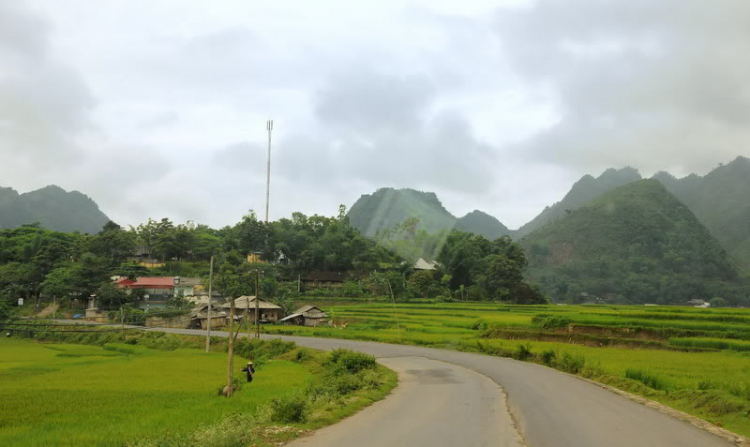 Em lại lang thang