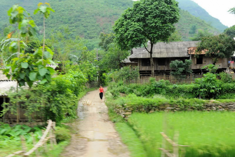 Em lại lang thang