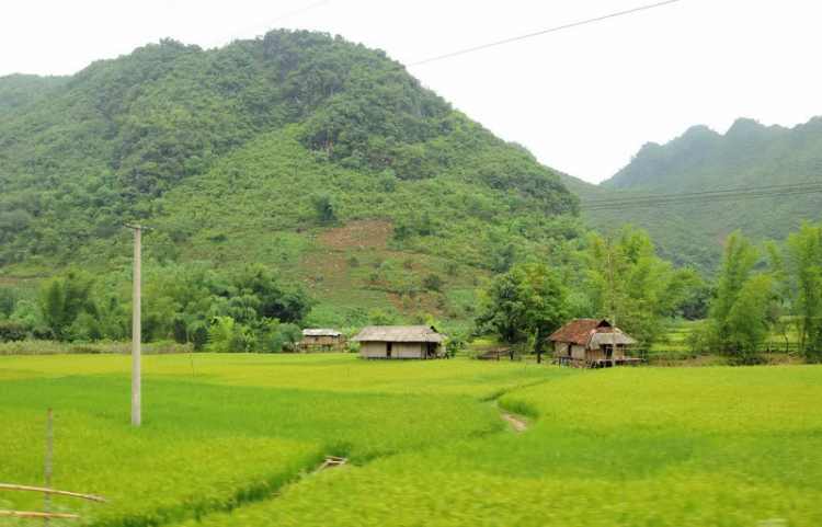 Em lại lang thang