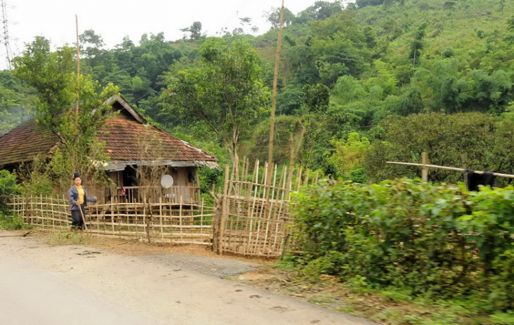 Em lại lang thang