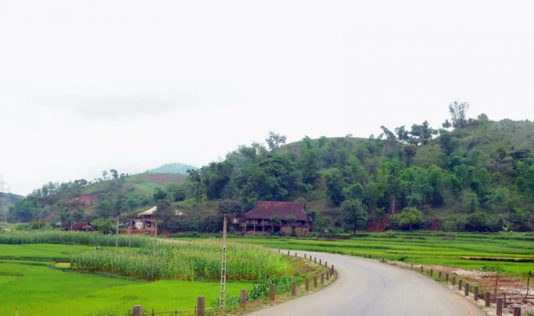 Em lại lang thang