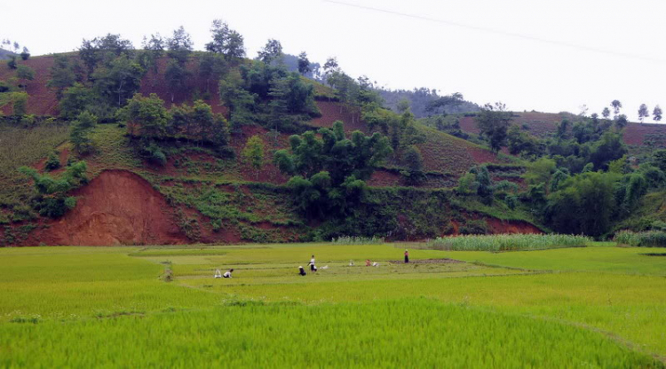 Em lại lang thang