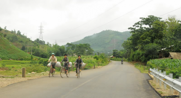 Em lại lang thang