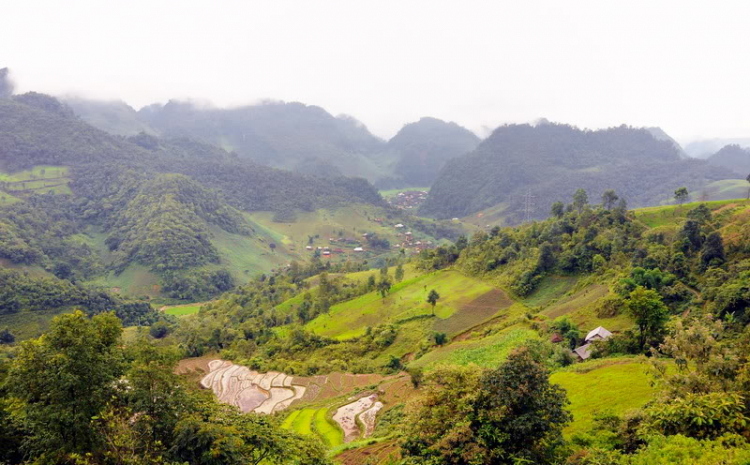 Em lại lang thang